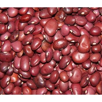 三亚南繁院豇豆新品种促农民增收