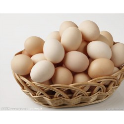 各种新鲜家禽蛋品