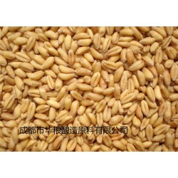 酿造企业求购高粱大米玉米小麦碎米
