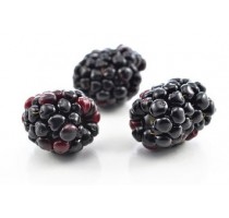 黑莓粉  黑莓提取物  延缓衰老