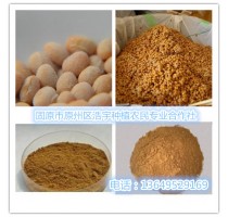 纳豆粉（黄豆 绿豆 黑豆）发酵粉
