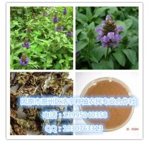 夏枯草提取物清热，明目，散结