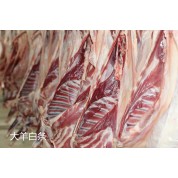 塔林宝 大羊白条