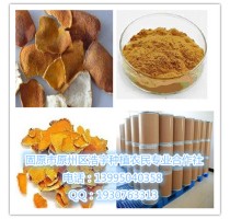 陈皮提取物 陈皮速溶粉  陈皮粉 浩宇合作社 现货