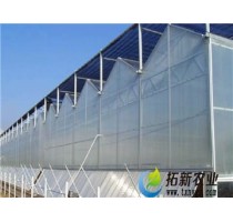 阳光板智能温室供应商 江苏阳光板智能温室造价 江浙沪阳光板智能温室电话 拓新供