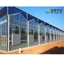 江浙沪玻璃温室造价 江苏哪里有玻璃温室 上海玻璃温室哪家好 拓新供