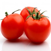 农牧宝  西红柿  基地直供 16元/kg  20斤免费起送  自取10元/kg