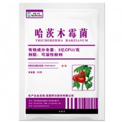 哈茨木霉菌叶部型 3亿CFU/克 50g*200袋/箱