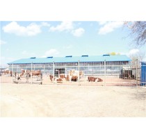 西门塔尔牛繁育基地 西门塔尔牛繁育基地在哪 坤林供