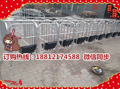 猪限位栏价格