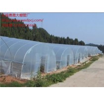 盐城蔬菜大棚配件 盐城蔬菜大棚 盐城蔬菜大棚配件批发 越群供