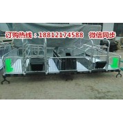 优质的母猪分娩栏规格齐全   猪用产仔栏价格 养猪设备批发