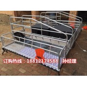 专业猪用分娩栏尺寸合理 母猪产床价格 养猪设备生产报价
