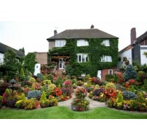 福建绿化养护,福建绿化养护哪家专业,福建绿化养护公司,金尊园林供