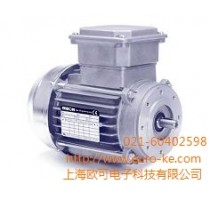 美国Bison电机价格,美国Bison电机型号,美国Bison电机厂家,欧可供