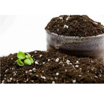 嘉兴白芨育苗基质批发 嘉兴白芨育苗基质费用 沃隆供