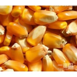 垄上常年收购；玉米黄豆高粱荞麦等农副产品